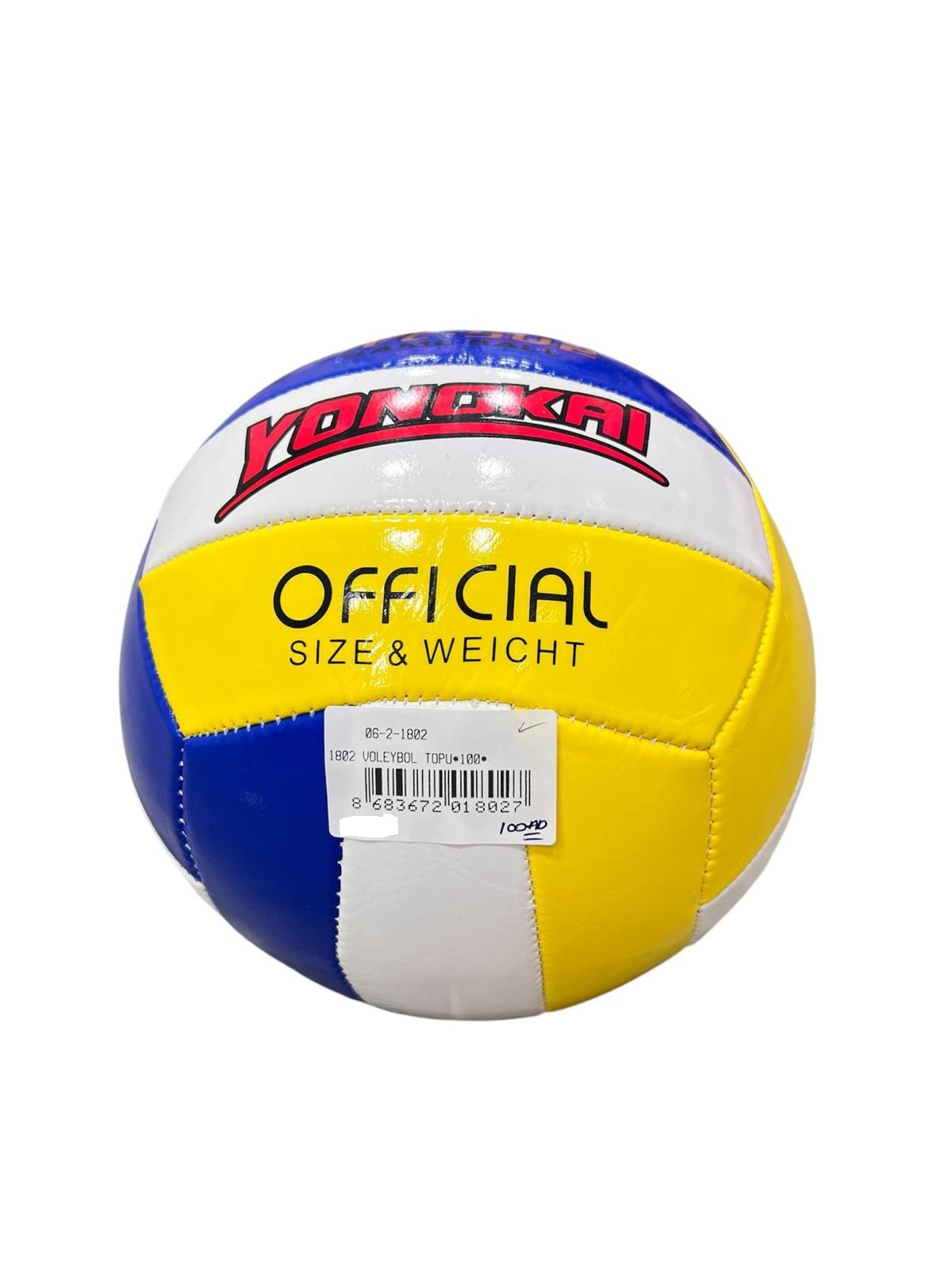 1802 VOLEYBOL TOPU 