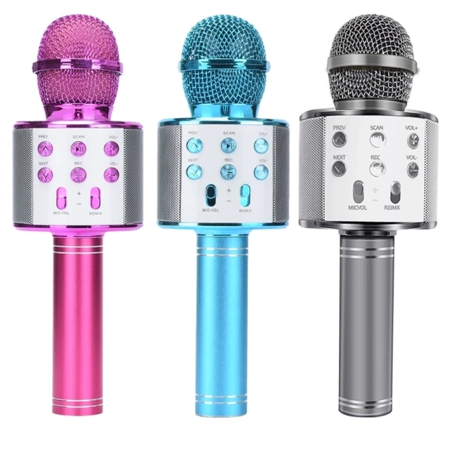 WS-858 KARAOKE MİKROFON